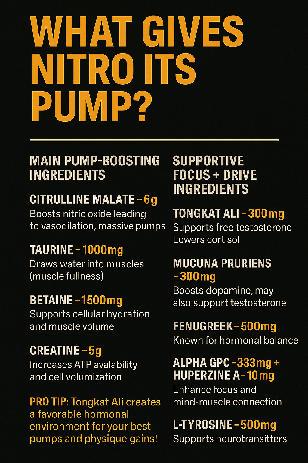 NITRO - PRE-WORKOUT FORMULA