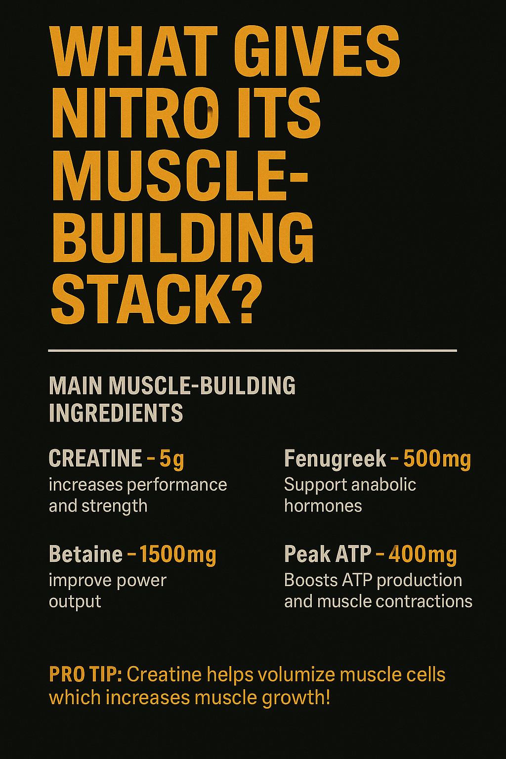 NITRO - PRE-WORKOUT FORMULA